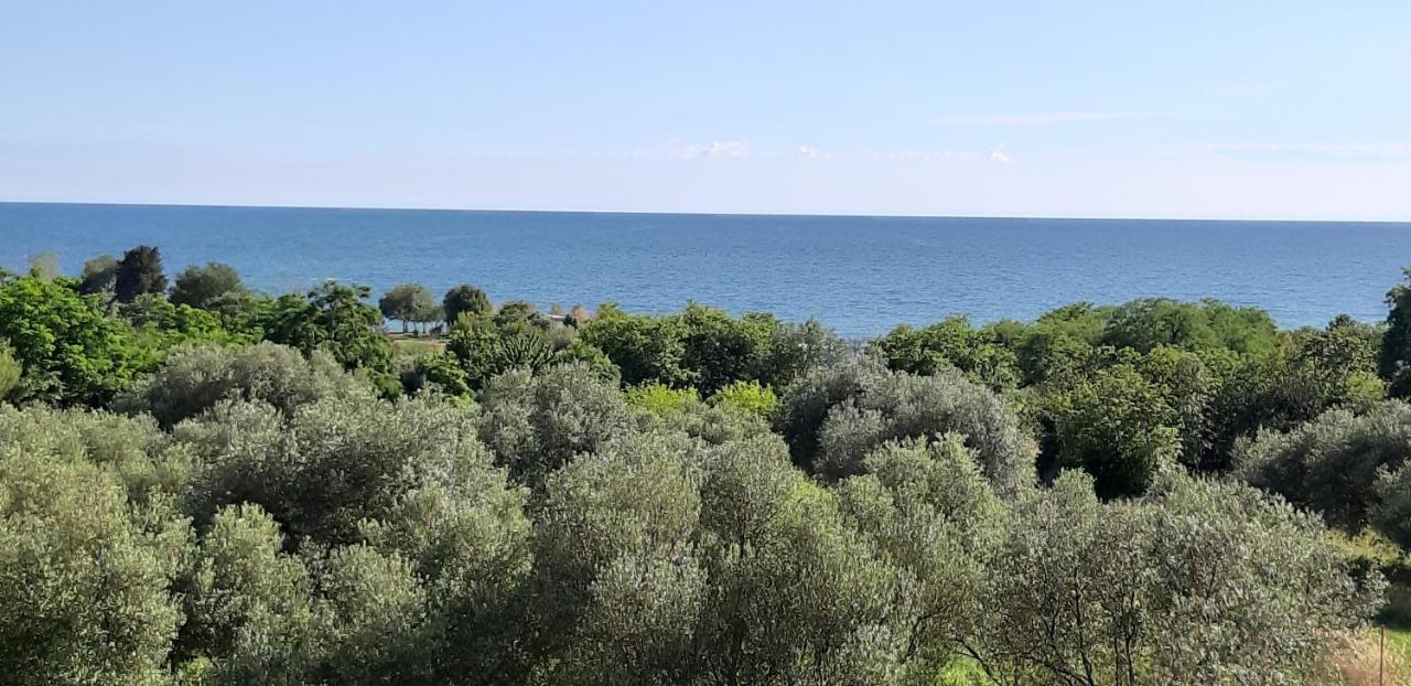 Apartment Istria Zambratija  Eksteriør bilde