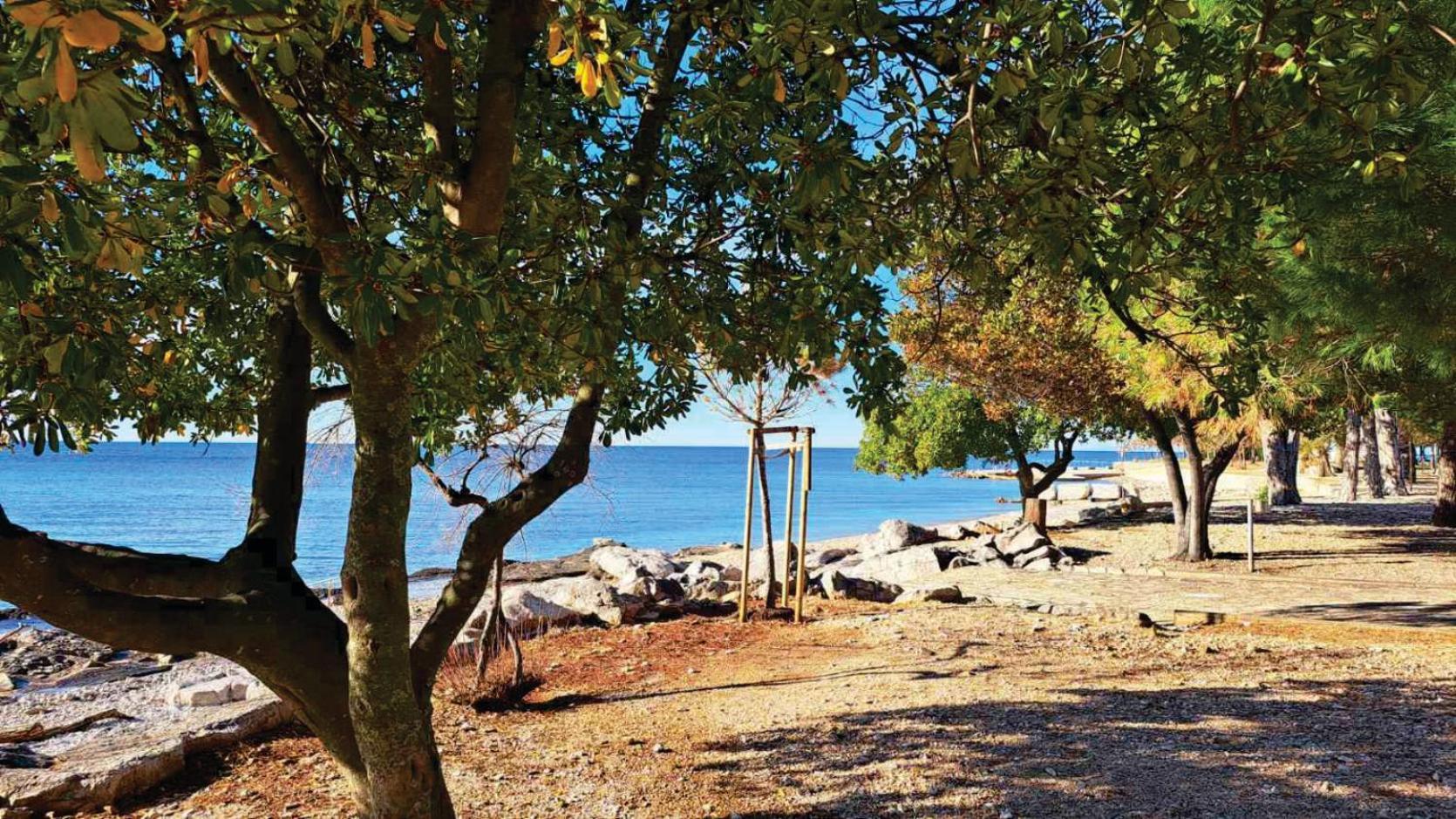 Apartment Istria Zambratija  Eksteriør bilde